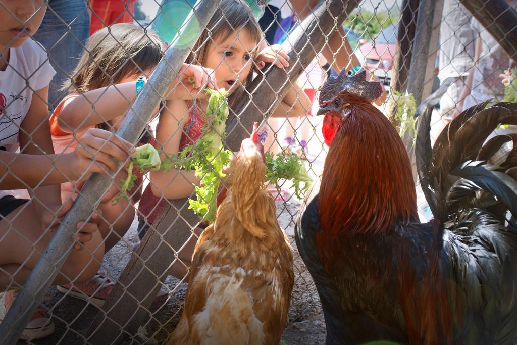 Vilar Rural De カルドナ エクステリア 写真