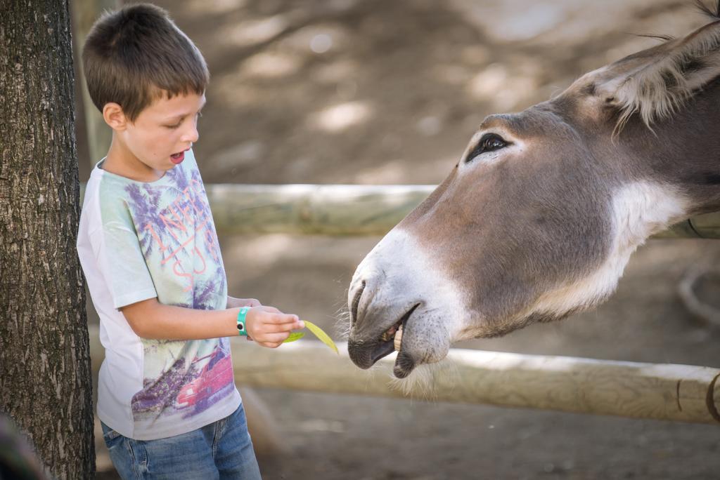 Vilar Rural De カルドナ エクステリア 写真
